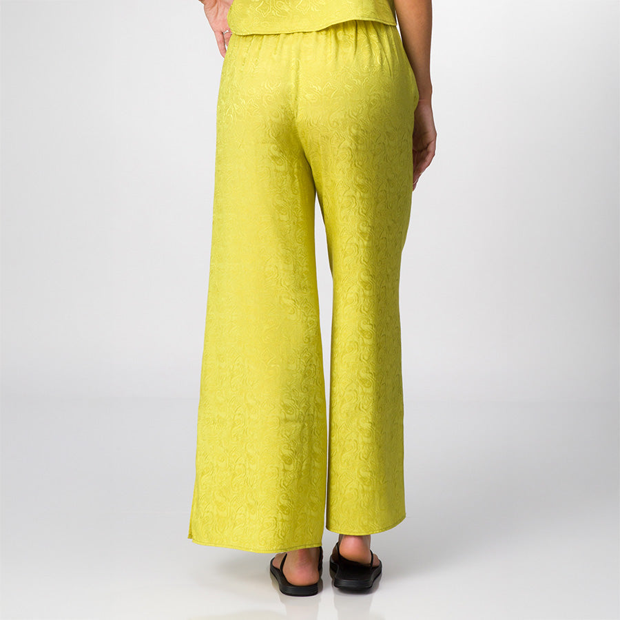 Ollie Pant