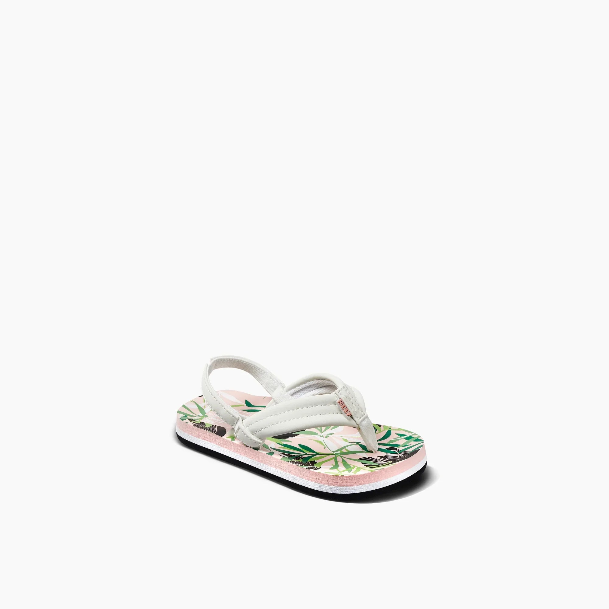 Little Ahi - Zebra