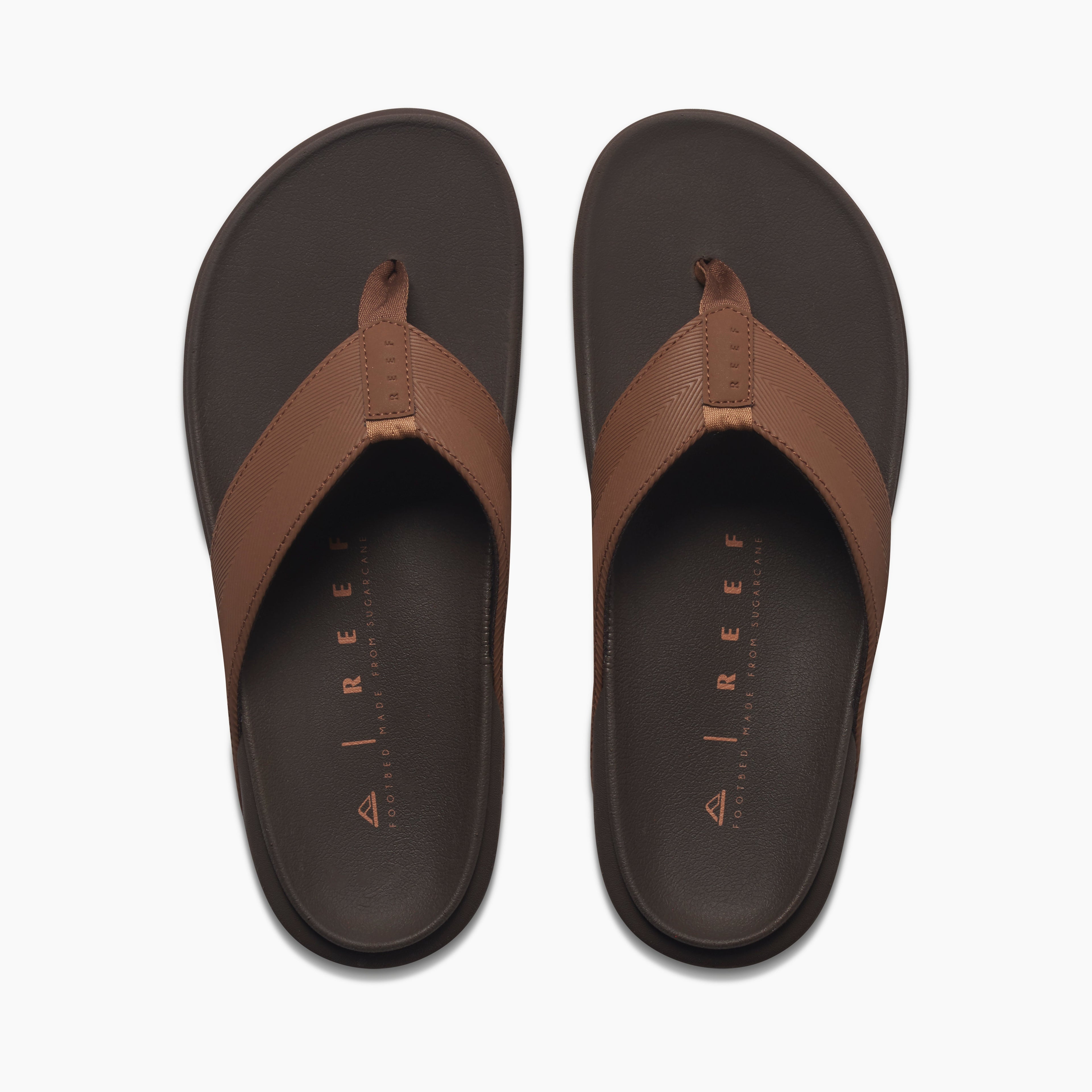 The Raglan - Java/Gum