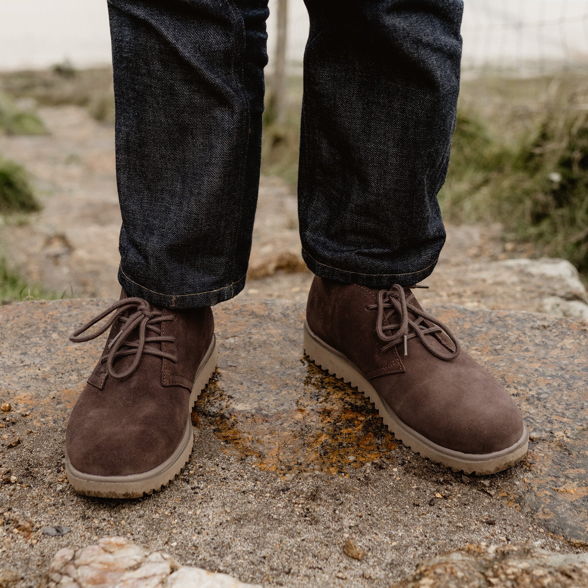 Leucadian - Brown